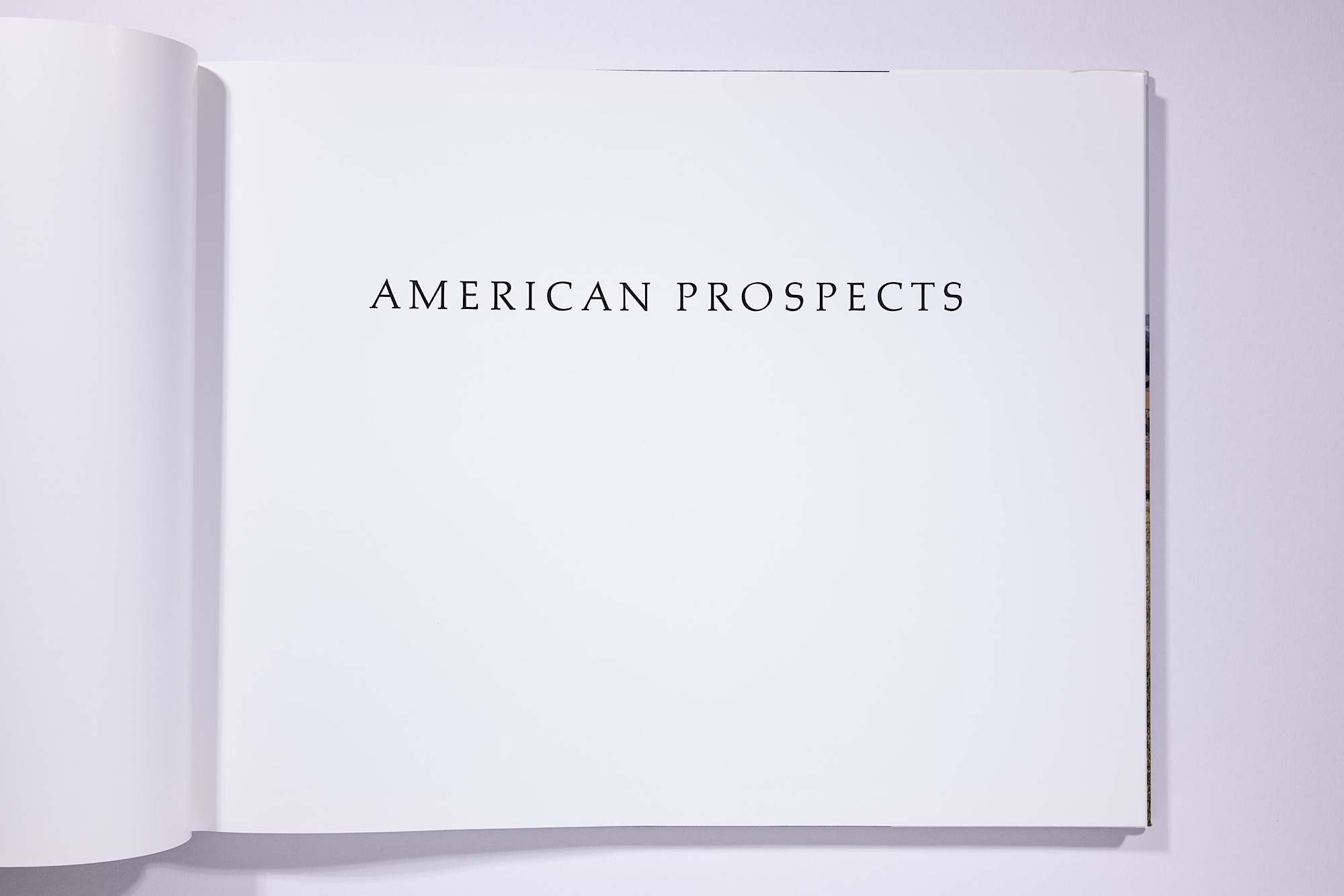 Joel Sternfield - American Prospects Image 2