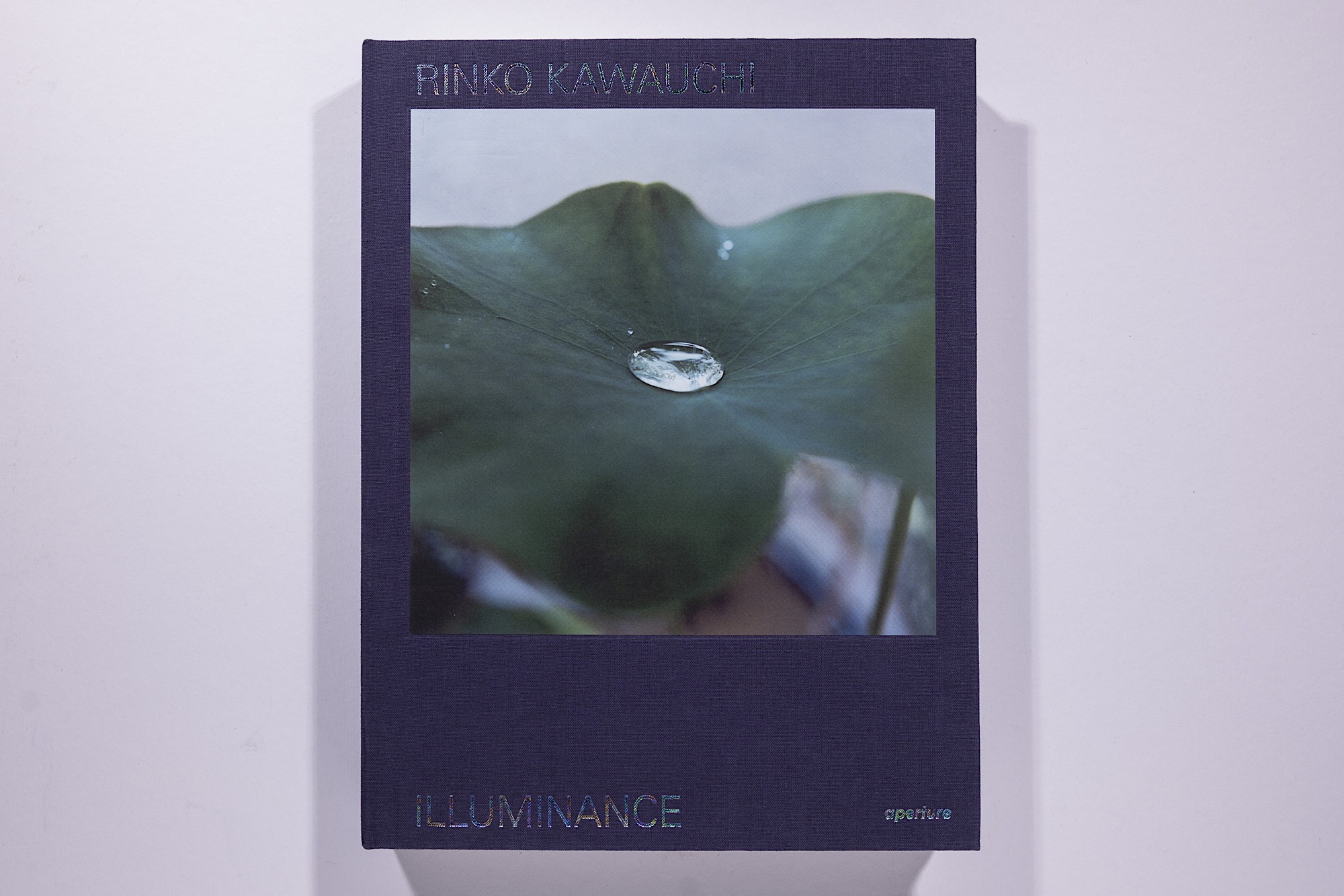 Rinko Kauwuchi - Illuminance Image 1