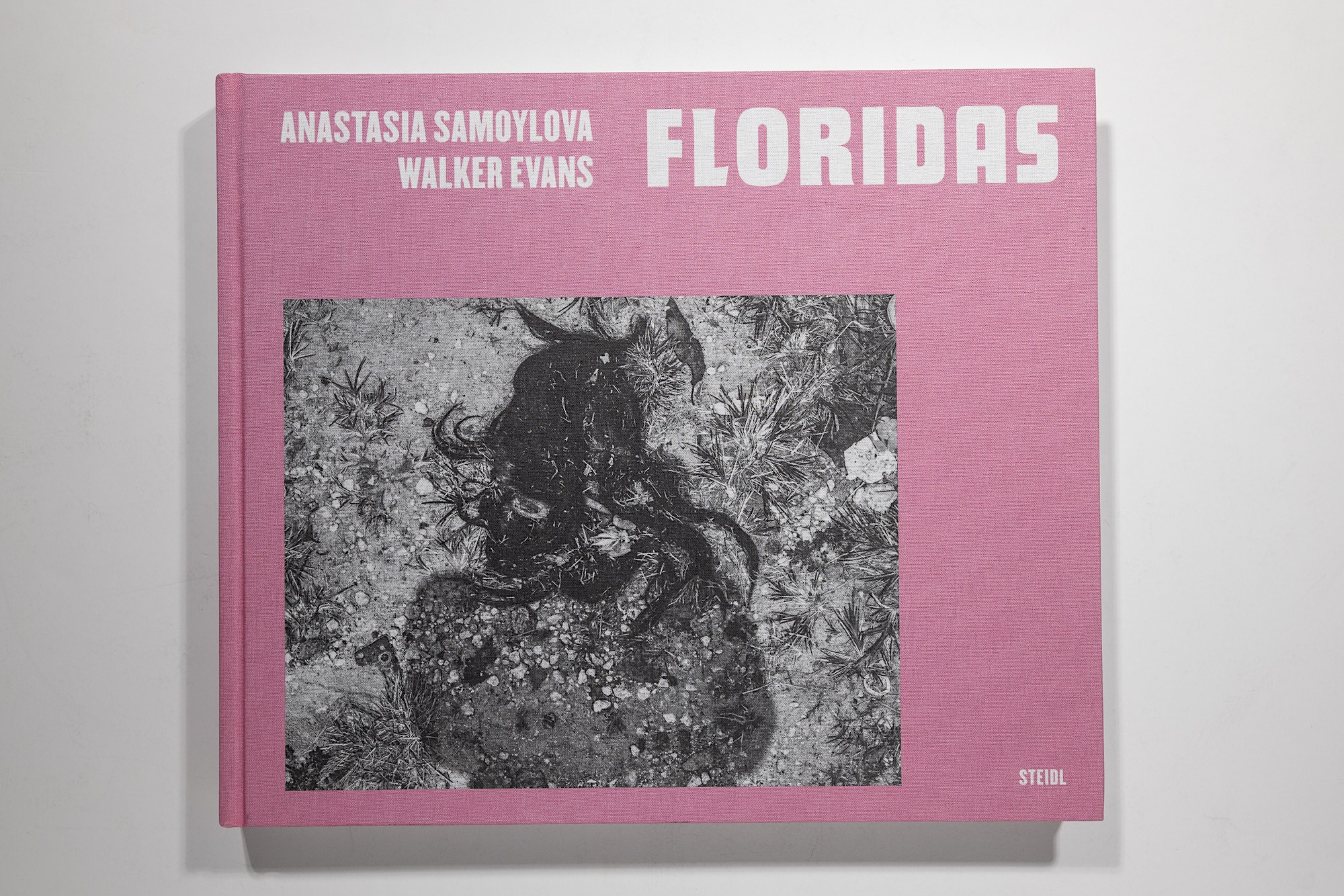 Anastasia Samoylova & Walker Evans: Floridas Image 1
