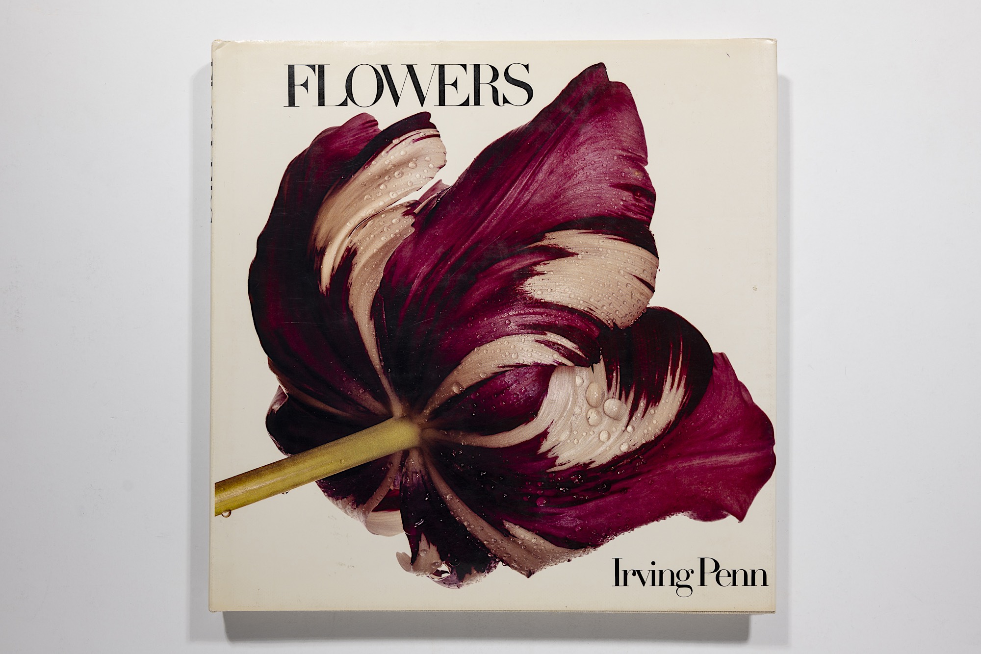 Irving Penn - Flowers Image 1