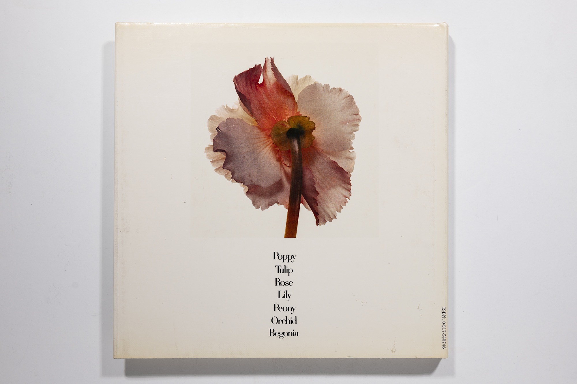Irving Penn - Flowers Image 2