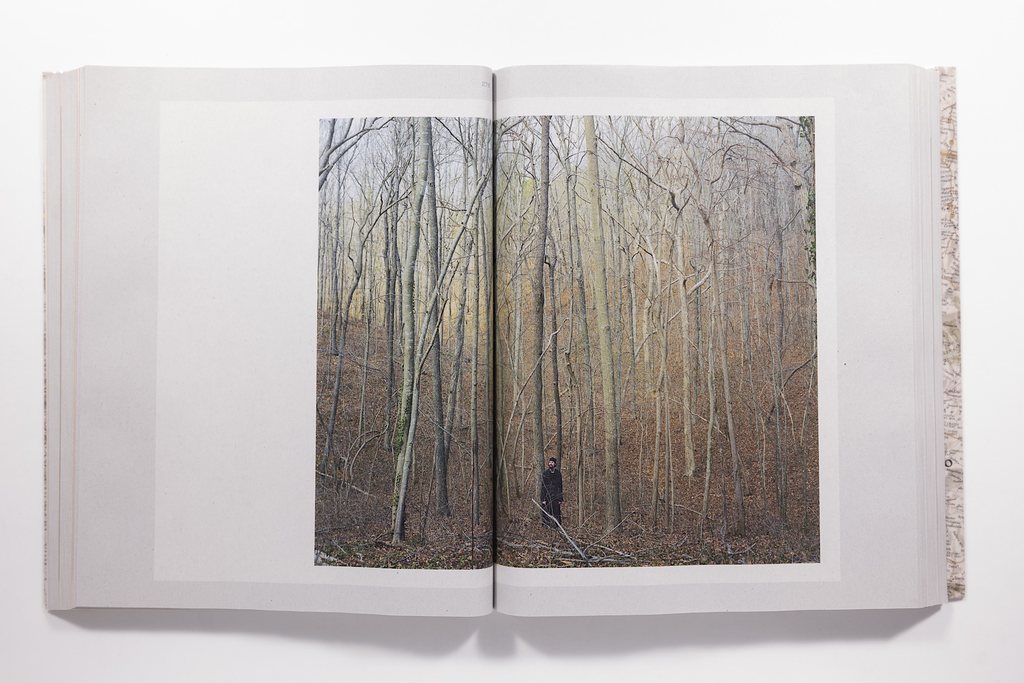 Alec Soth - Gathered Leaves Annotated Image 11