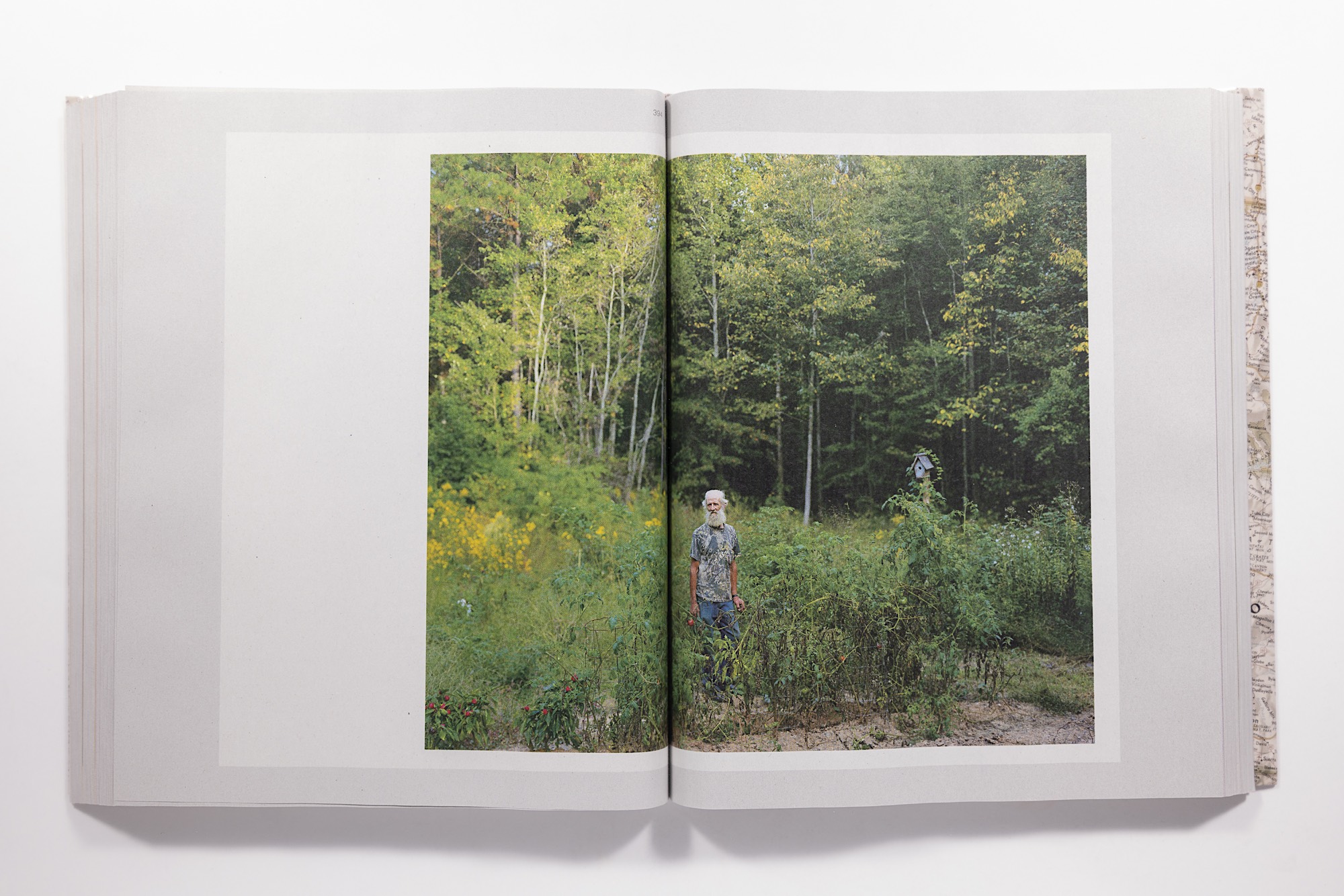 Alec Soth - Gathered Leaves Annotated Image 15