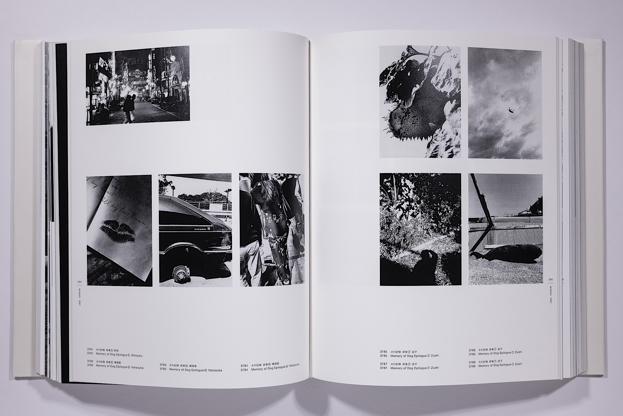Daido Moriyama - The Complete Works of Daido Moriyama Image 34