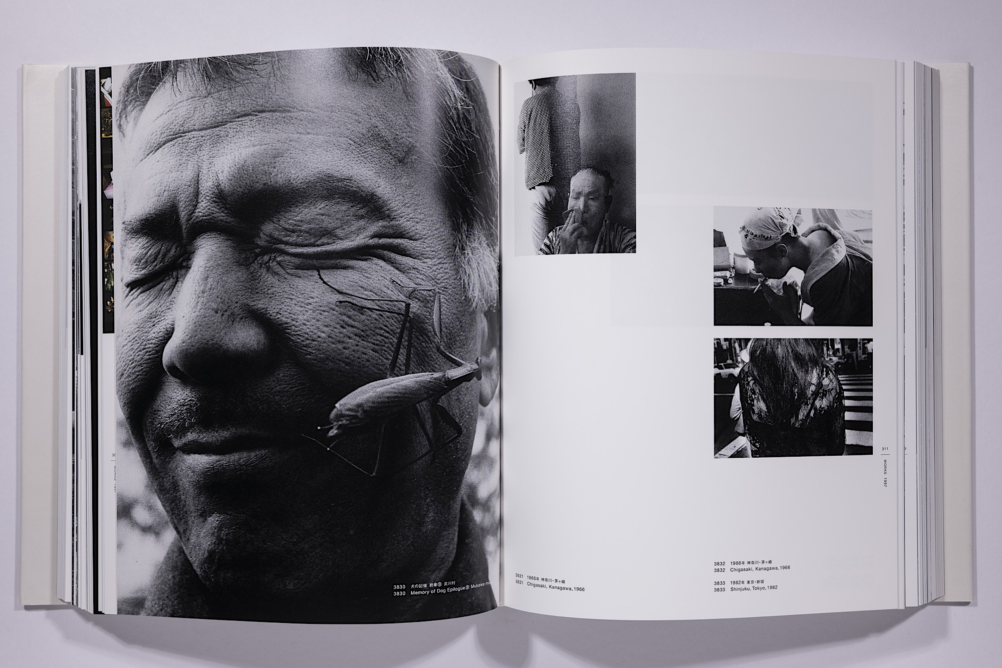 Daido Moriyama - The Complete Works of Daido Moriyama Image 36