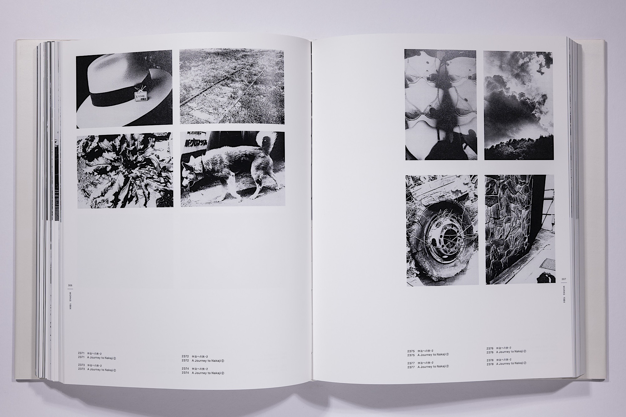 Daido Moriyama - The Complete Works of Daido Moriyama Image 52