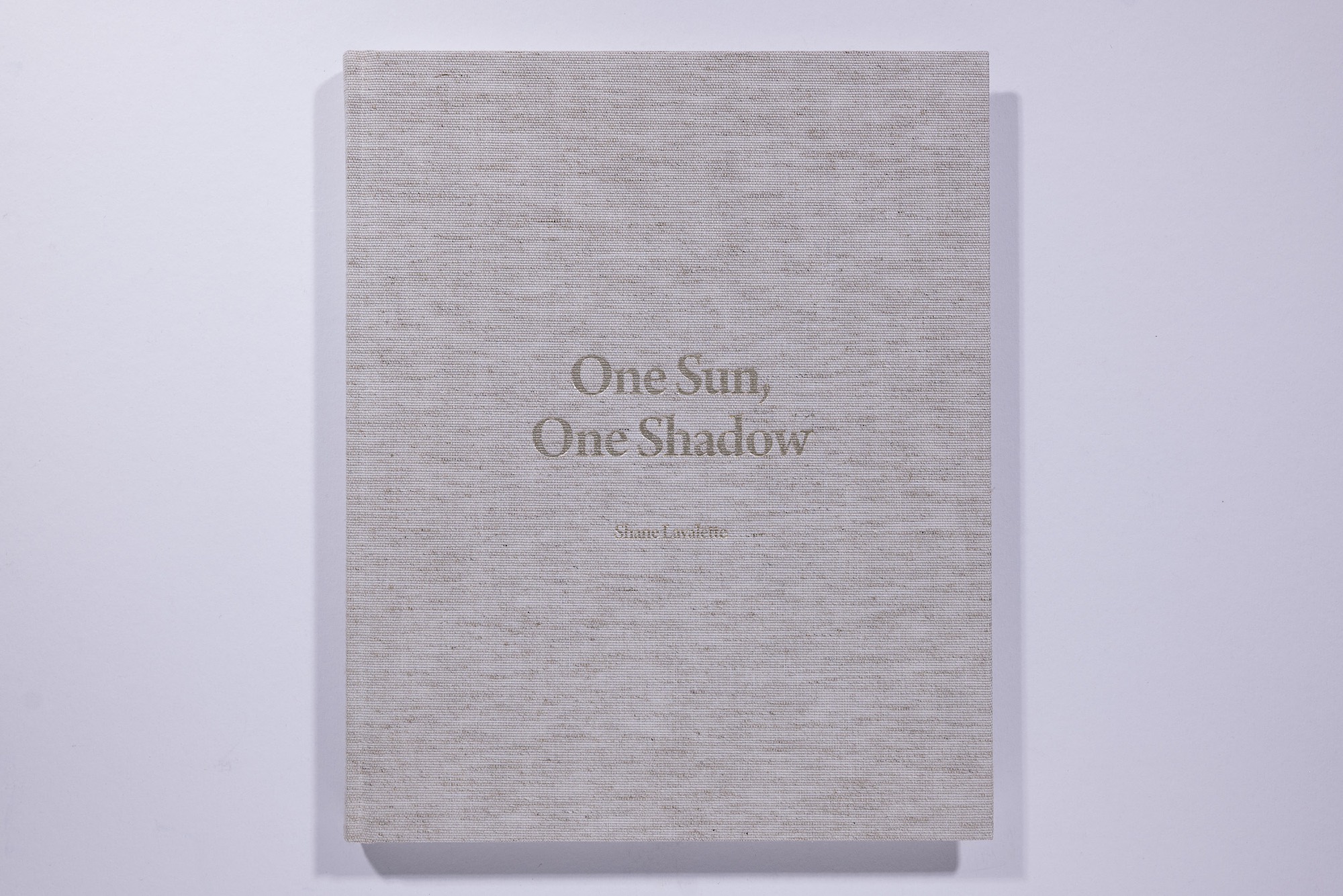 Shane Lavalette - One Sun, One Shadow Image 1